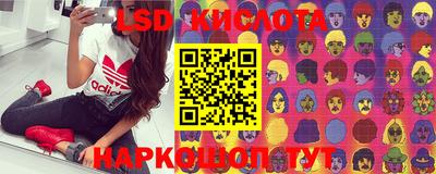шишки Новодвинск