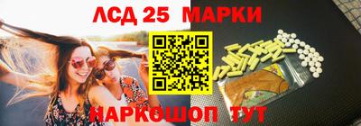 шишки Новодвинск