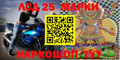 шишки Новодвинск