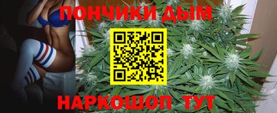 мдпв Новозыбков