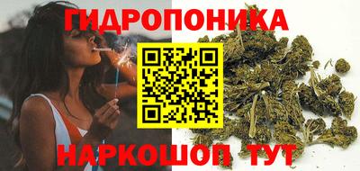 мдпв Новозыбков