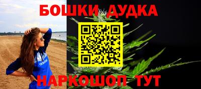 мдпв Новозыбков