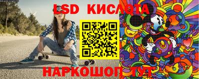 шишки Новодвинск