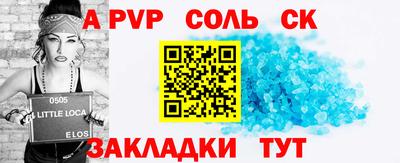 шишки Новодвинск