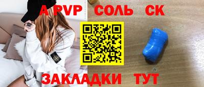шишки Новодвинск